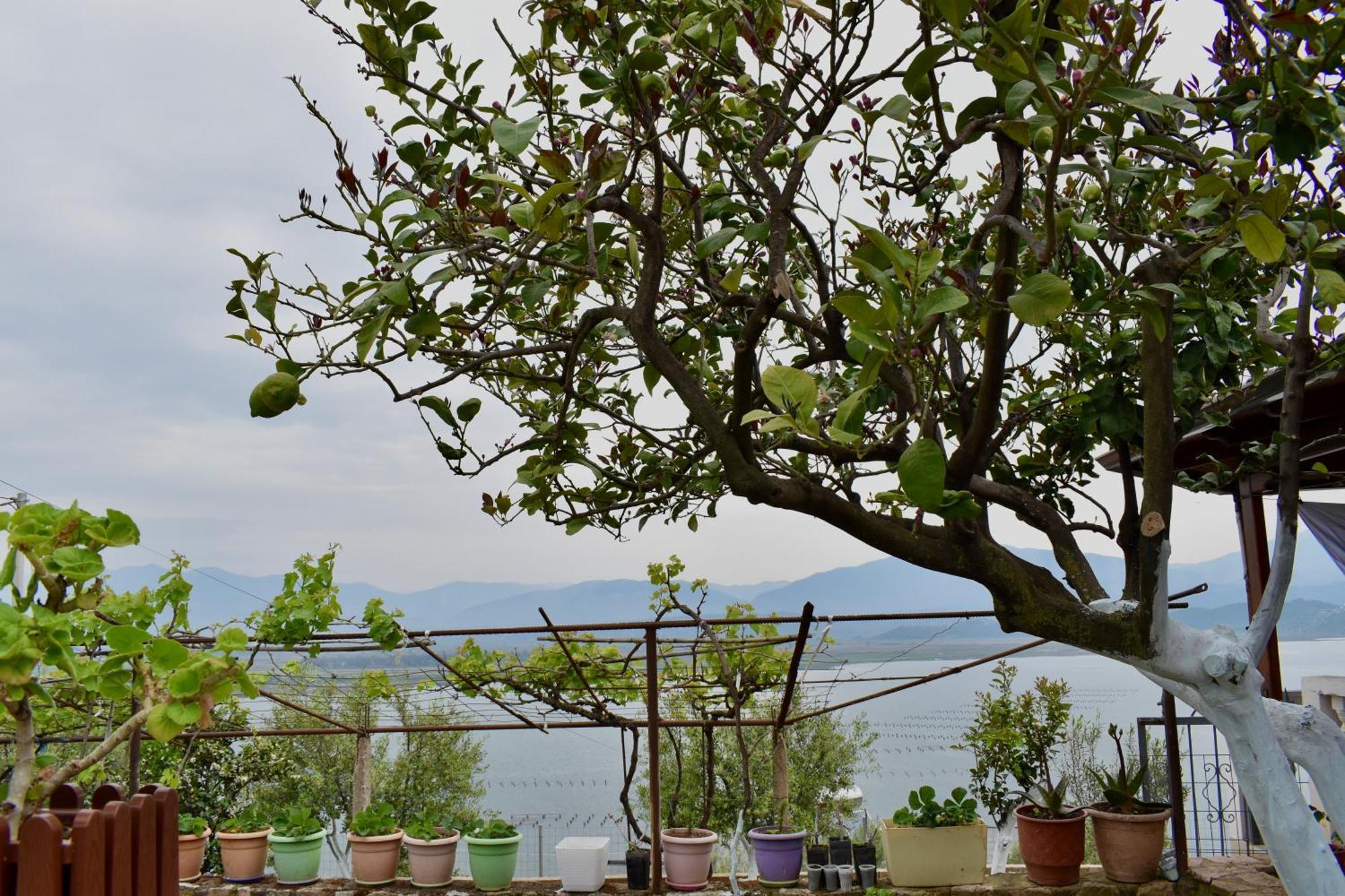 Vakantiehuis Sea&lake View Escape Ksamil